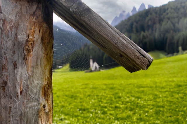 Viborg ff’s grønne revolution: Sådan arbejder klubben med bæredygtighed