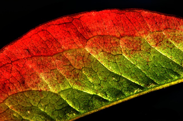 Prikkende, stikkende, mærkelige fornemmelser – hvad sker der i dine nerver?